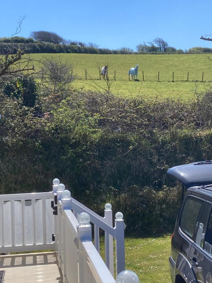 Mollys Retreat Pet Friendly Three Bed Caravan With Small Garden Newquay Bay Resort Quieter Area Of Park Экстерьер фото